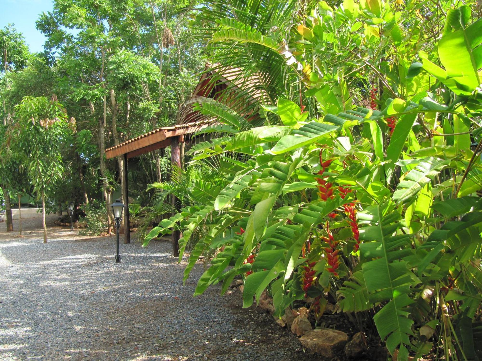 Eco Pousada Villa Verde Bonito  Eksteriør bilde