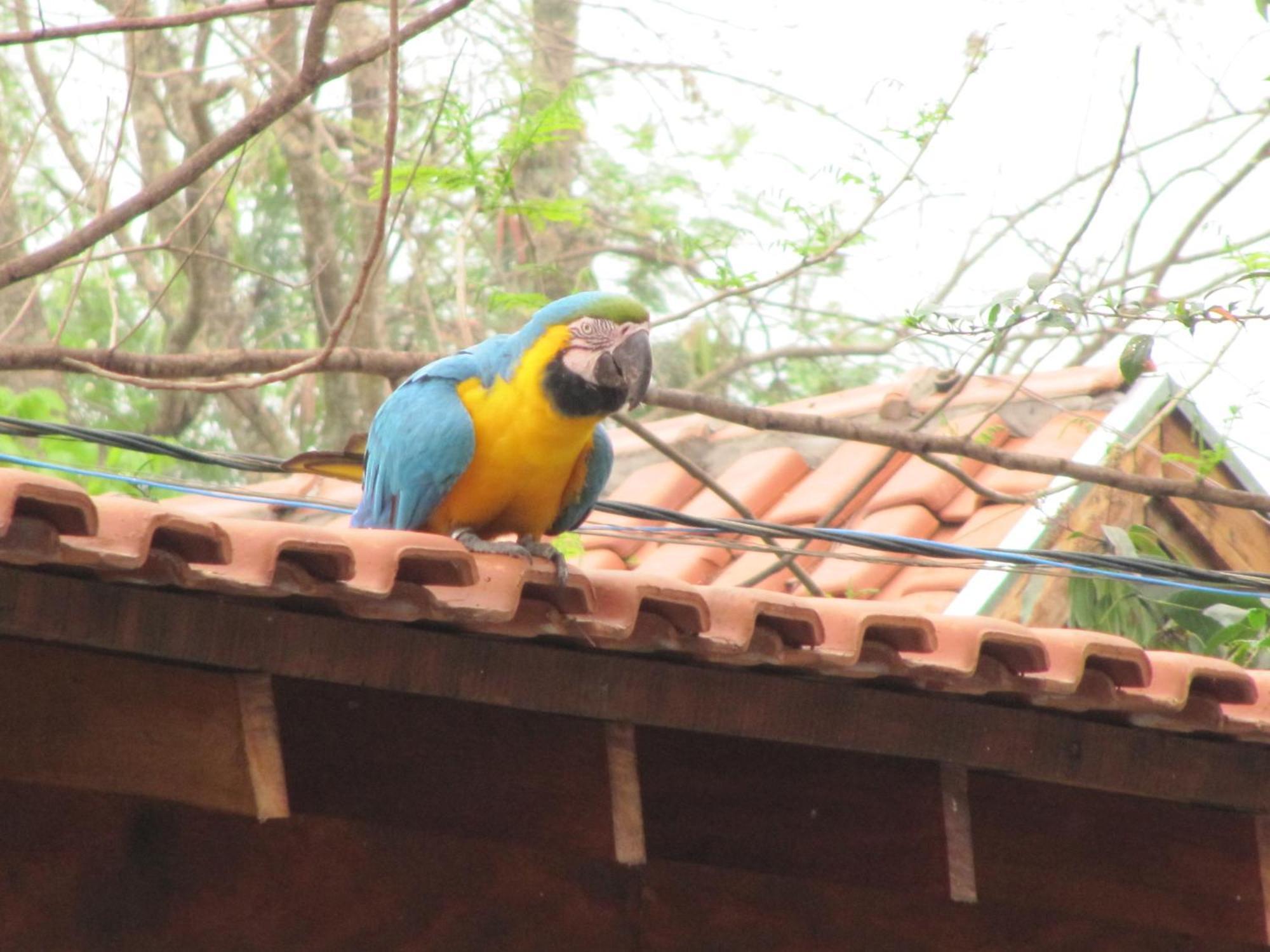 Eco Pousada Villa Verde Bonito  Eksteriør bilde