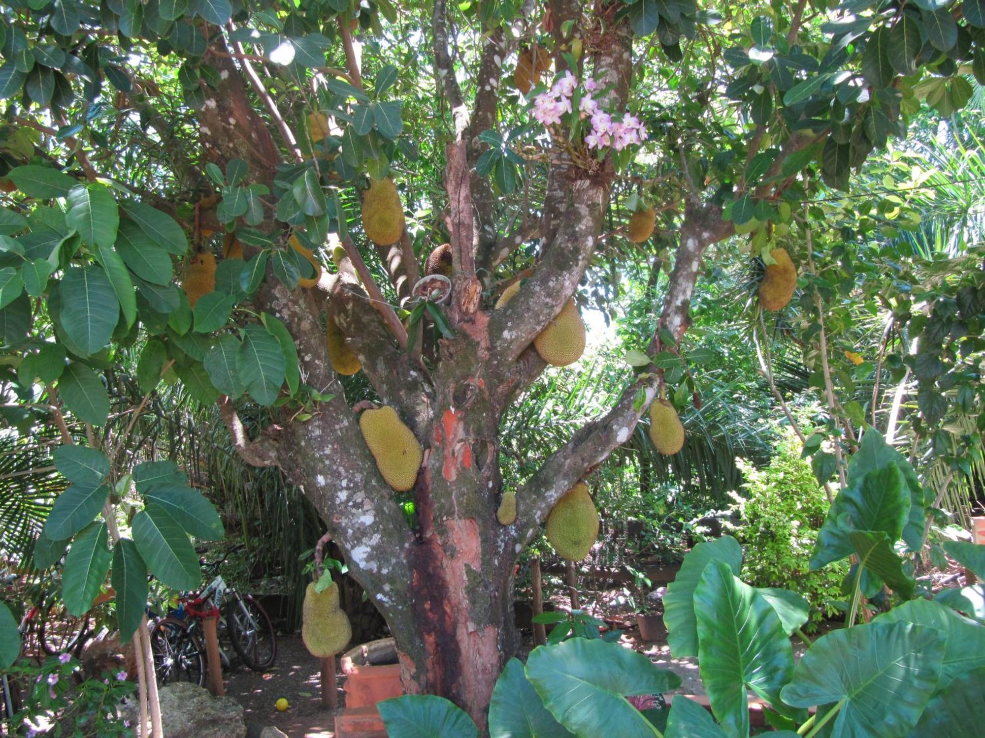 Eco Pousada Villa Verde Bonito  Eksteriør bilde
